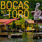 Bocas del Toro image