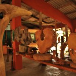 Driftwood Sculptures at Coco Arte